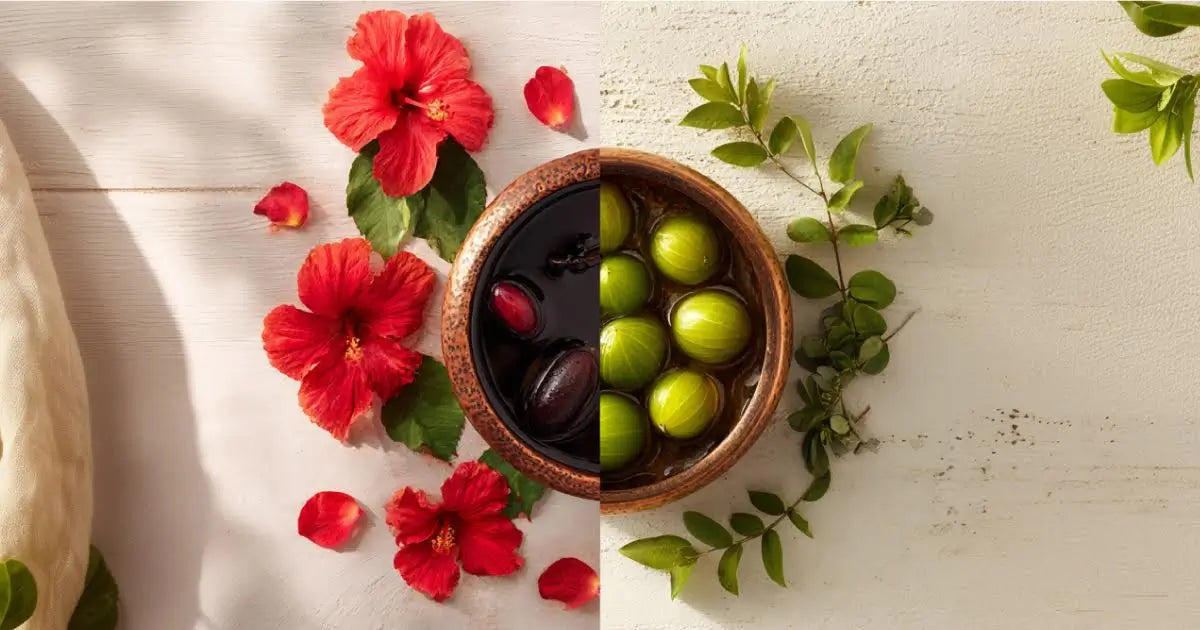 Hibiscus or Amla: Which is Better for Hair Shine & Growth?