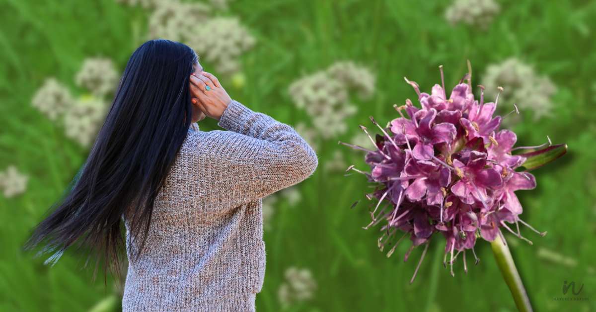 Jatamansi Benefits for Hair, Skin & Well-being