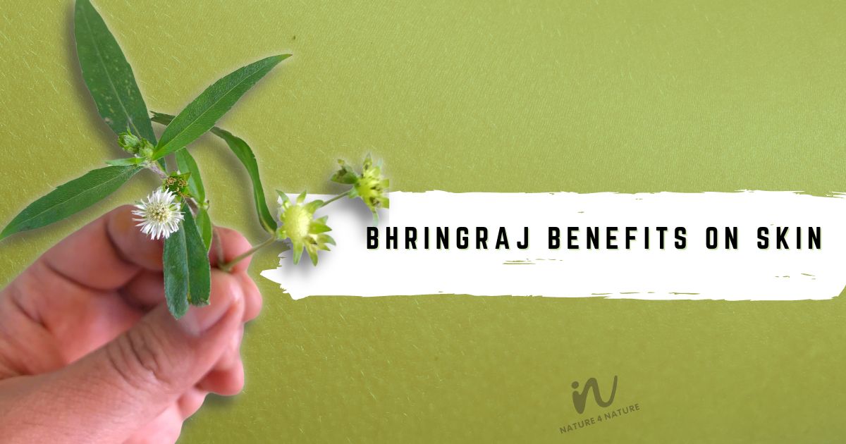 7 Surprising Bhringraj Benefits for Hair and Health