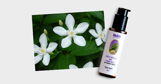 How Does Sweet Indrajao Brighten Skin ? Nature’s Gentle Glow-Up